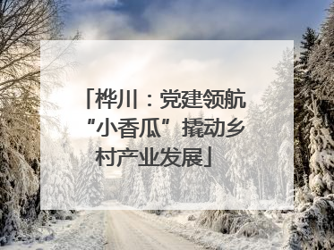 桦川：党建领航“小香瓜”撬动乡村产业发展