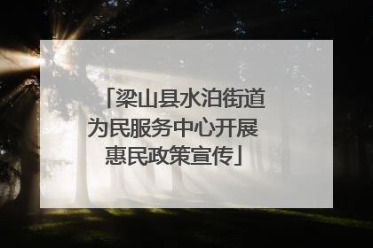梁山县水泊街道为民服务中心开展惠民政策宣传