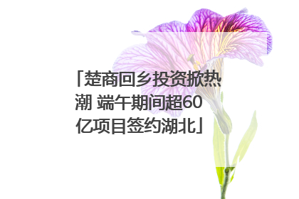 楚商回乡投资掀热潮 端午期间超60亿项目签约湖北