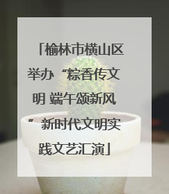 榆林市横山区举办“粽香传文明 端午颂新风”新时代文明实践文艺汇演