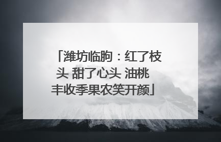 潍坊临朐：红了枝头 甜了心头 油桃丰收季果农笑开颜