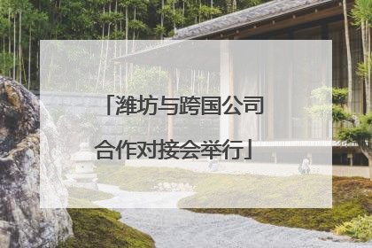 潍坊与跨国公司合作对接会举行