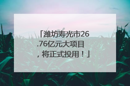 潍坊寿光市26.76亿元大项目，将正式投用！