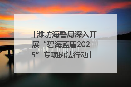 潍坊海警局深入开展“碧海蓝盾2025”专项执法行动