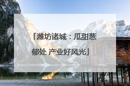 潍坊诸城：瓜甜葱郁处 产业好风光