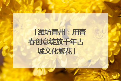 潍坊青州：用青春创意绽放千年古城文化繁花