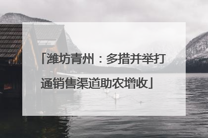 潍坊青州：多措并举打通销售渠道助农增收