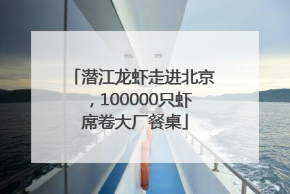 潜江龙虾走进北京，100000只虾席卷大厂餐桌