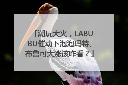 潮玩大火，LABUBU催动下泡泡玛特、布鲁可大涨该咋看？