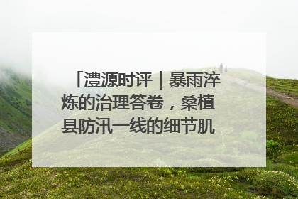 澧源时评｜暴雨淬炼的治理答卷，桑植县防汛一线的细节肌理与体系力量