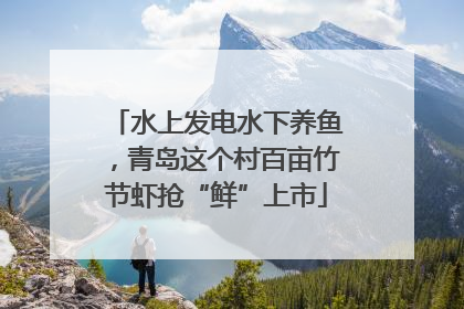 水上发电水下养鱼，青岛这个村百亩竹节虾抢“鲜”上市