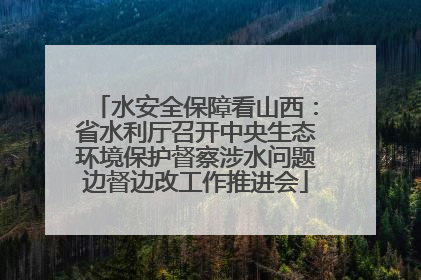 水安全保障看山西：省水利厅召开中央生态环境保护督察涉水问题边督边改工作推进会