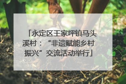 永定区王家坪镇马头溪村：“非遗赋能乡村振兴”交流活动举行