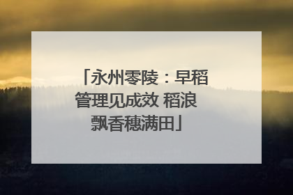 永州零陵：早稻管理见成效 稻浪飘香穗满田
