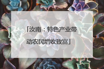 汝南：特色产业带动农民增收致富