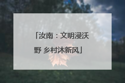 汝南：文明浸沃野 乡村沐新风