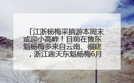 江浙杨梅采摘游本周末或迎小高峰！目前在售东魁杨梅多来自云南、福建，浙江露天东魁杨梅6月中旬大量上市