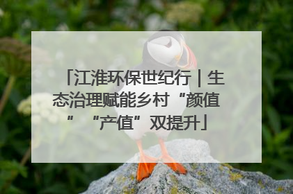 江淮环保世纪行｜生态治理赋能乡村“颜值”“产值”双提升