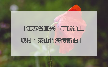 江苏省宜兴市丁蜀镇上坝村：茶山竹海传新曲