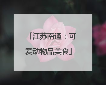 江苏南通：可爱动物品美食