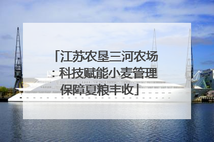 江苏农垦三河农场：科技赋能小麦管理保障夏粮丰收