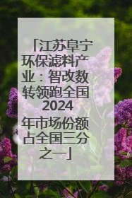 江苏阜宁环保滤料产业：智改数转领跑全国 2024年市场份额占全国三分之一