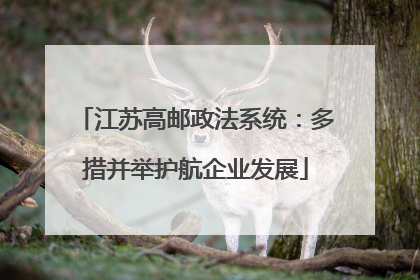 江苏高邮政法系统：多措并举护航企业发展