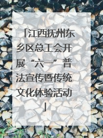 江西抚州东乡区总工会开展“六一”普法宣传暨传统文化体验活动