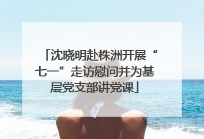 沈晓明赴株洲开展“七一”走访慰问并为基层党支部讲党课