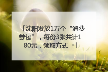 沈阳发放1万个“消费券包”，每份3张共计180元，领取方式→