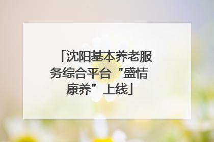 沈阳基本养老服务综合平台“盛情康养”上线