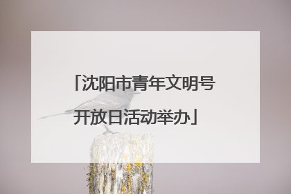 沈阳市青年文明号开放日活动举办
