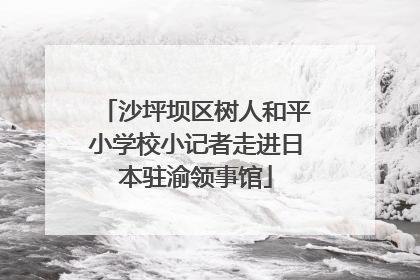 沙坪坝区树人和平小学校小记者走进日本驻渝领事馆