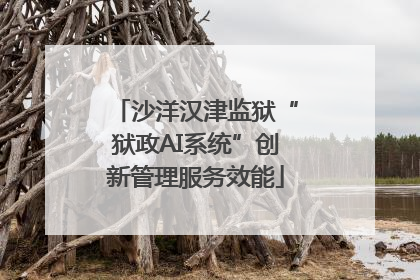 沙洋汉津监狱“狱政AI系统”创新管理服务效能