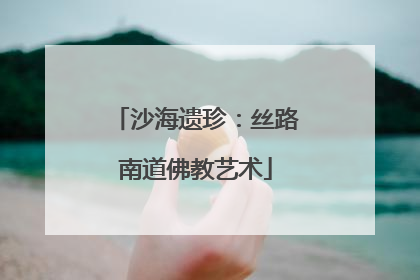 沙海遗珍：丝路南道佛教艺术