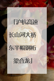 沪杭高速长山河大桥东半幅钢桁梁合龙