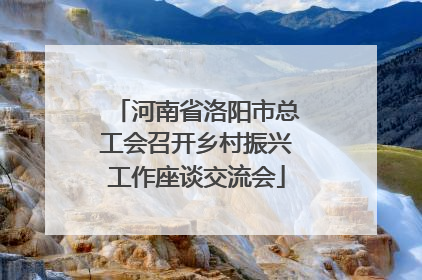 河南省洛阳市总工会召开乡村振兴工作座谈交流会