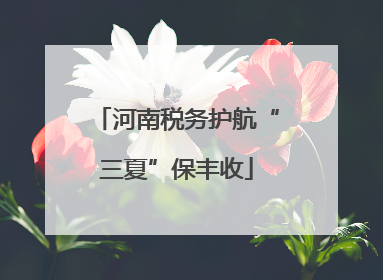 河南税务护航“三夏”保丰收