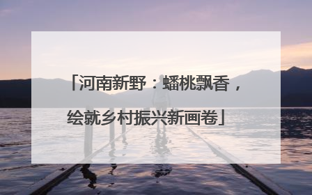 河南新野：蟠桃飘香，绘就乡村振兴新画卷