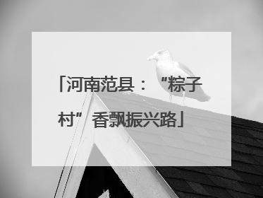 河南范县：“粽子村”香飘振兴路
