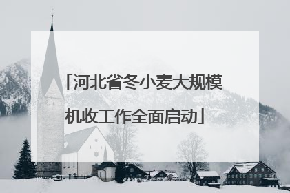河北省冬小麦大规模机收工作全面启动