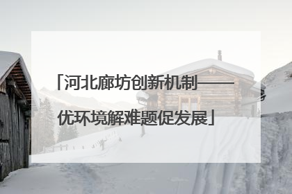 河北廊坊创新机制——优环境解难题促发展