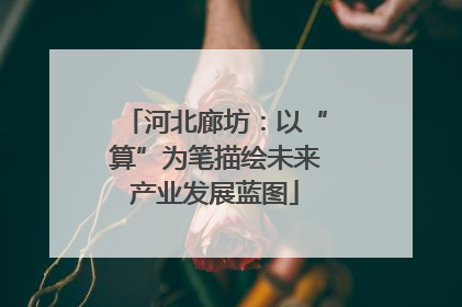 河北廊坊：以“算”为笔描绘未来产业发展蓝图