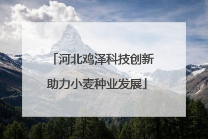 河北鸡泽科技创新助力小麦种业发展