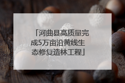 河曲县高质量完成5万亩沿黄线生态修复造林工程