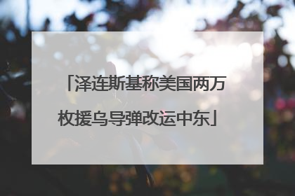 泽连斯基称美国两万枚援乌导弹改运中东