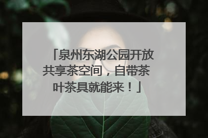 泉州东湖公园开放共享茶空间，自带茶叶茶具就能来！
