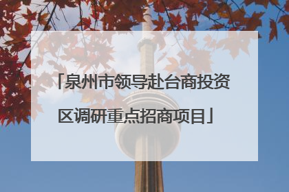 泉州市领导赴台商投资区调研重点招商项目