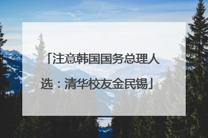 注意韩国国务总理人选：清华校友金民锡