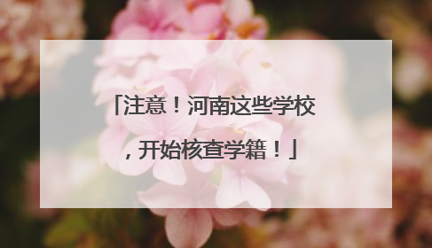 注意！河南这些学校，开始核查学籍！
